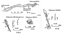 MC 2003 Whitestone Cliff Caves